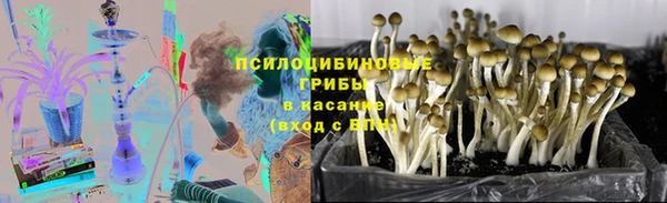 сатива Михайловск