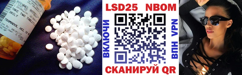 kraken зеркало  Стародуб  ЛСД экстази ecstasy 