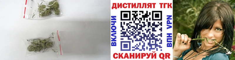 ТГК концентрат  Стародуб 