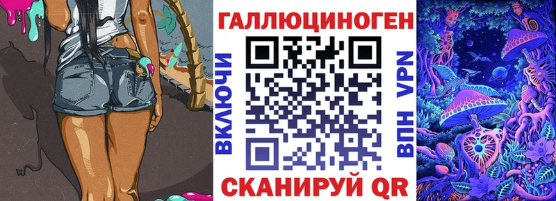 Галлюциногенные грибы GOLDEN TEACHER  наркота  Стародуб 